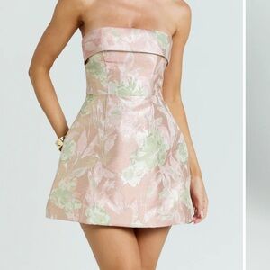 Showpo Lawrence Mini Dress